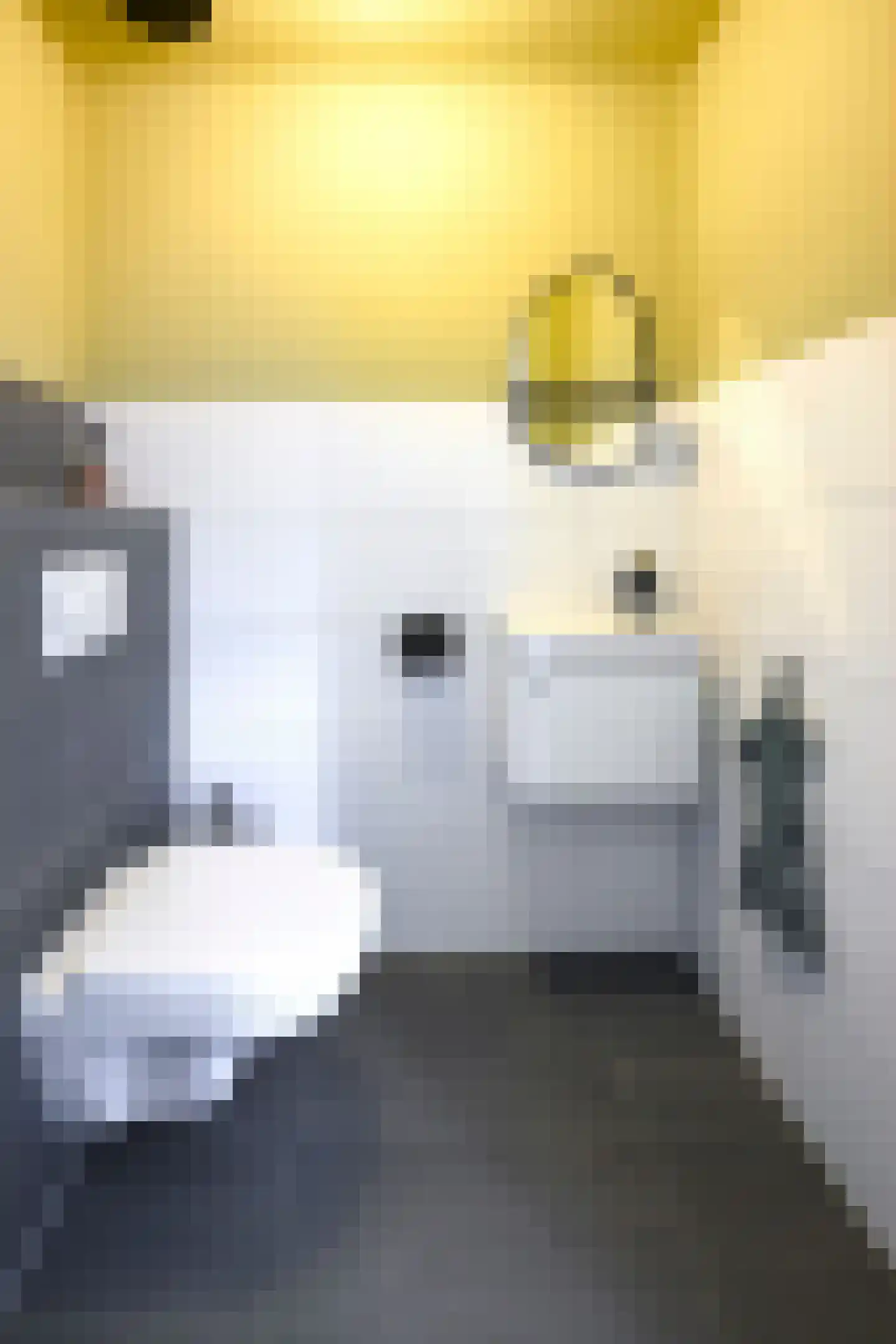 Alant 4 Brummen thumbnail 17