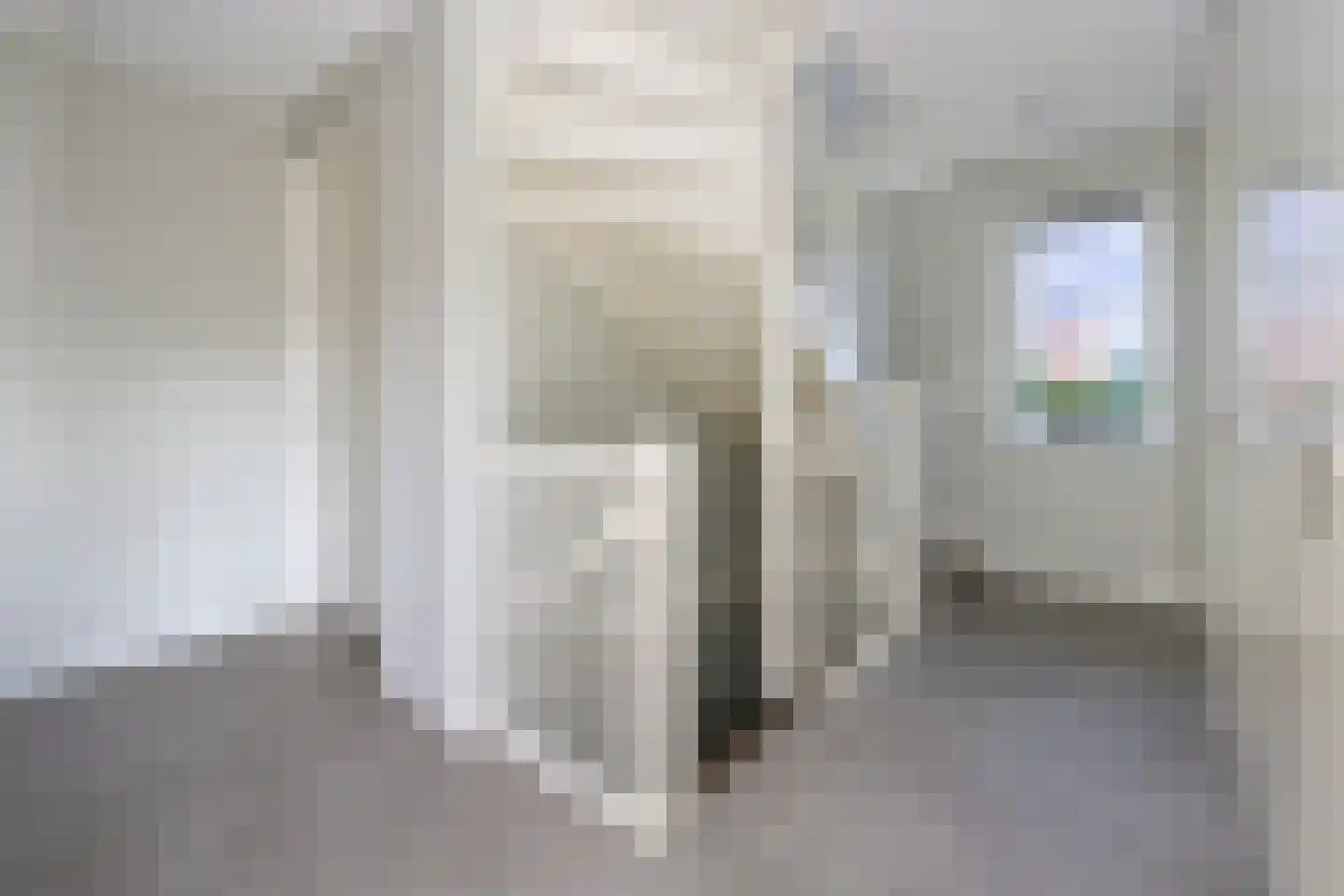 Alant 4 Brummen thumbnail 18