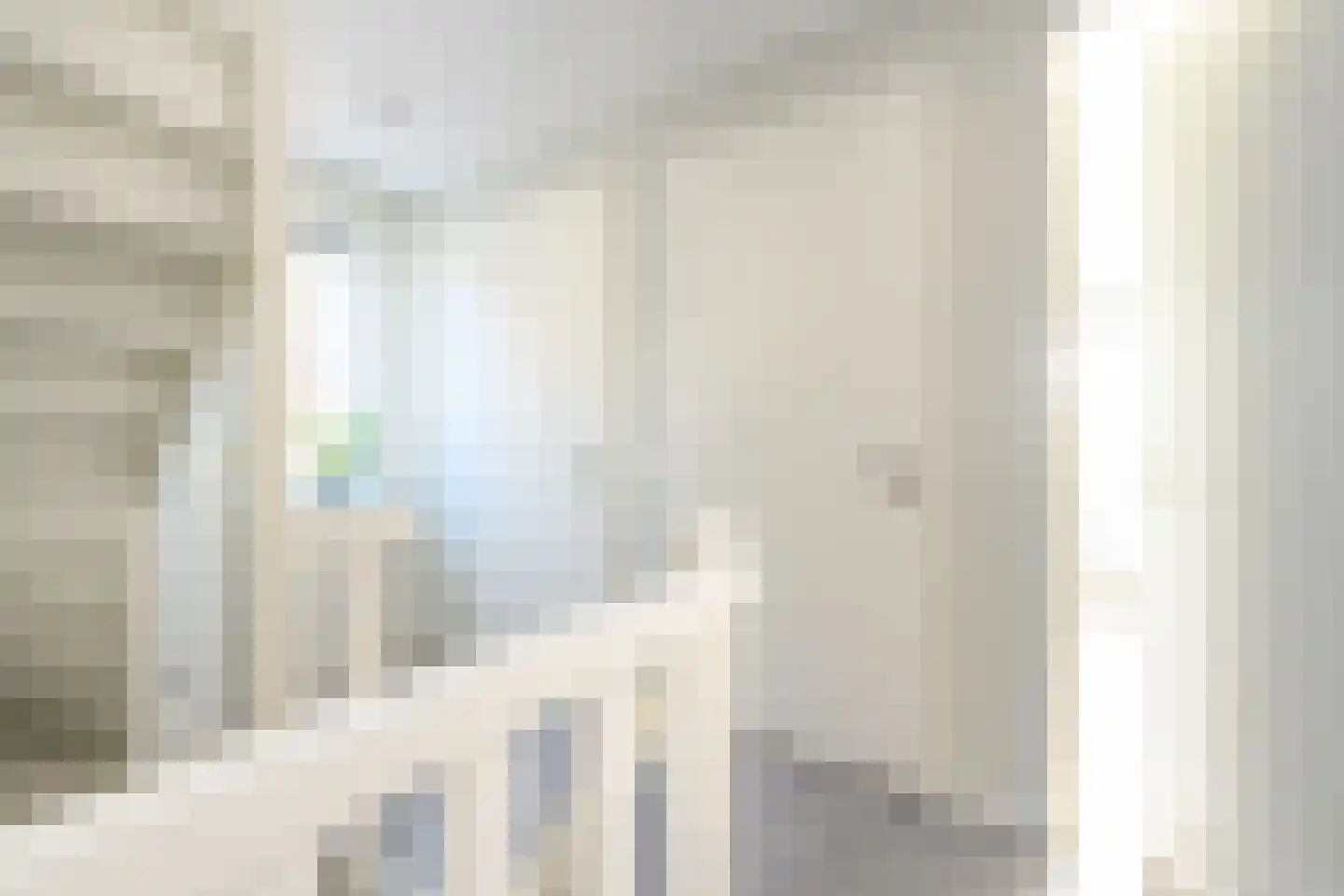 Alant 4 Brummen thumbnail 19
