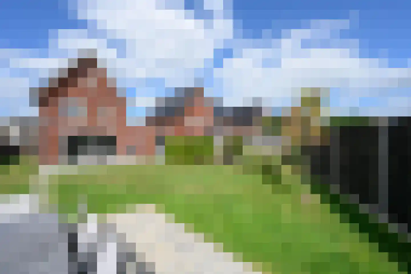 Alant 4 Brummen foto 2