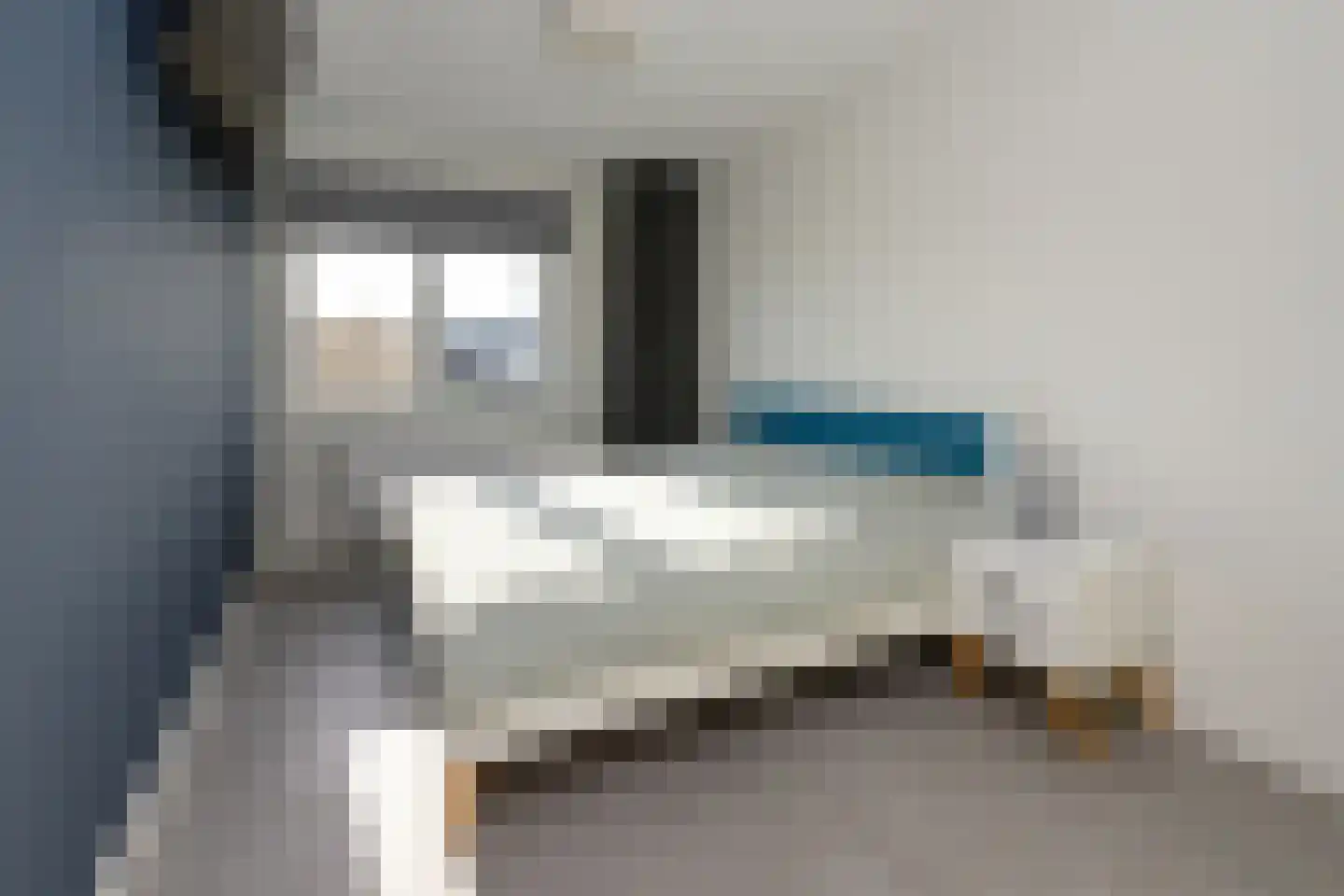 Alant 4 Brummen thumbnail 20