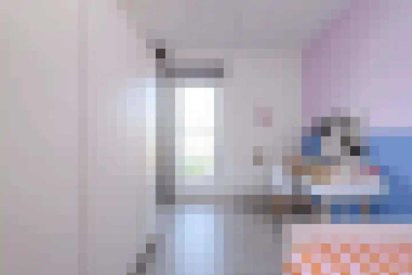Alant 4 Brummen thumbnail 23