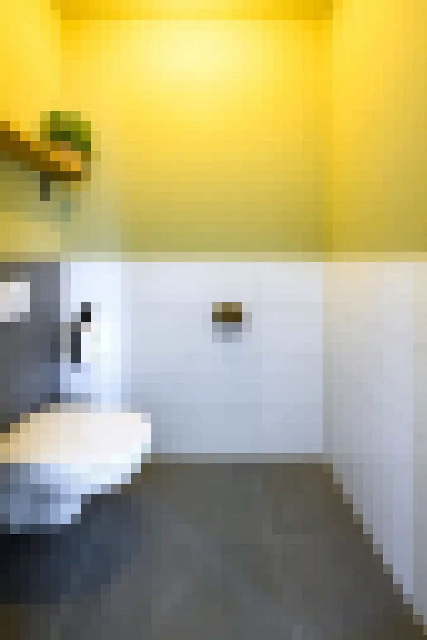 Alant 4 Brummen thumbnail 27
