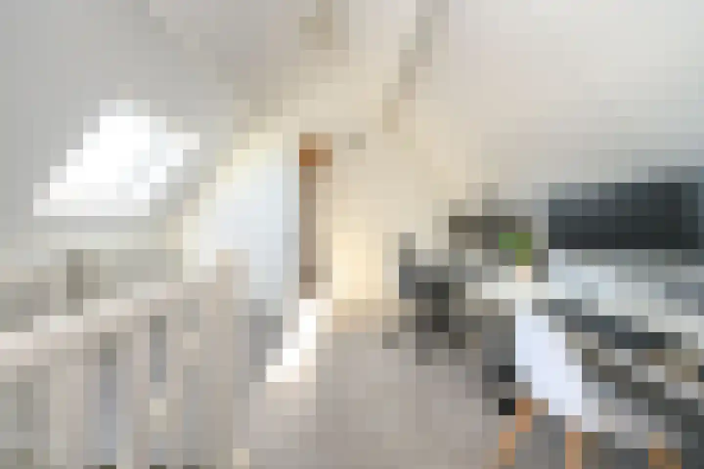 Alant 4 Brummen thumbnail 30