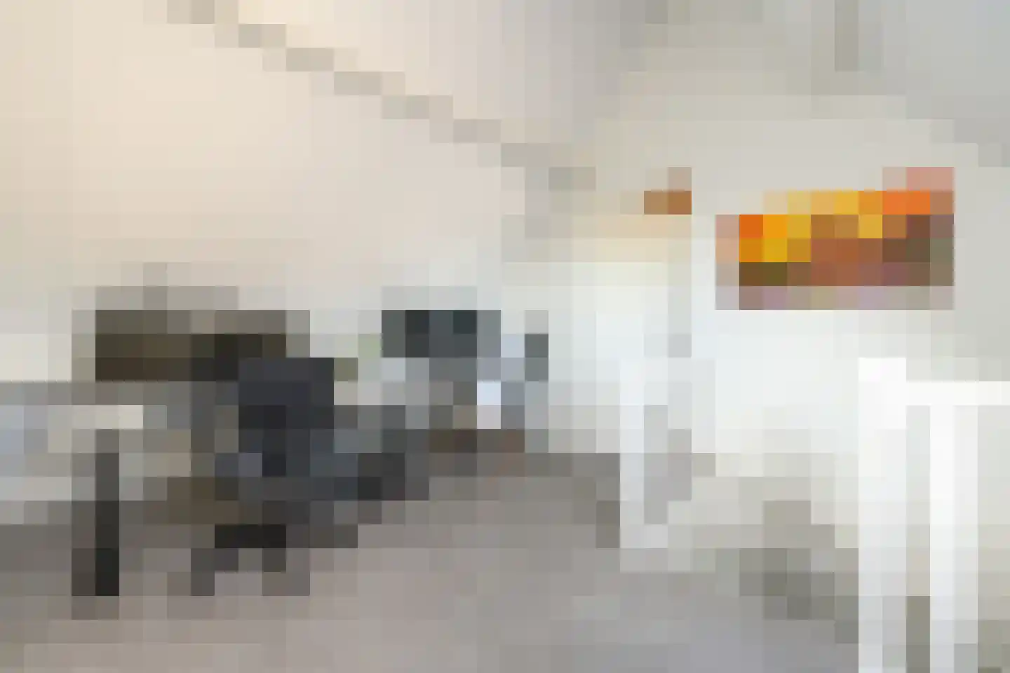Alant 4 Brummen thumbnail 31