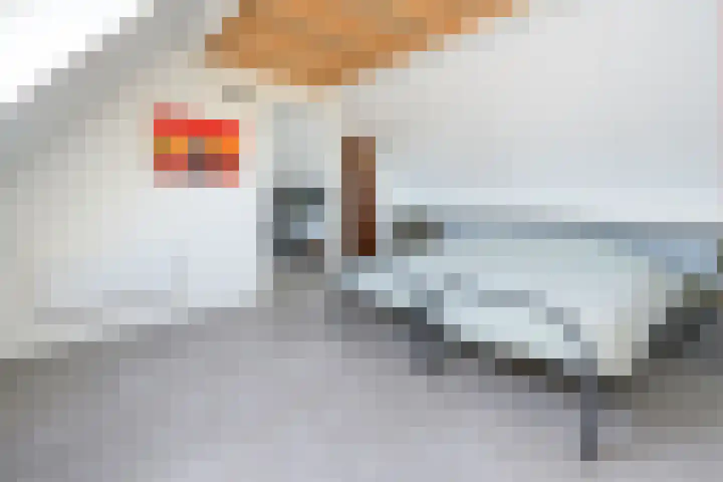 Alant 4 Brummen thumbnail 33