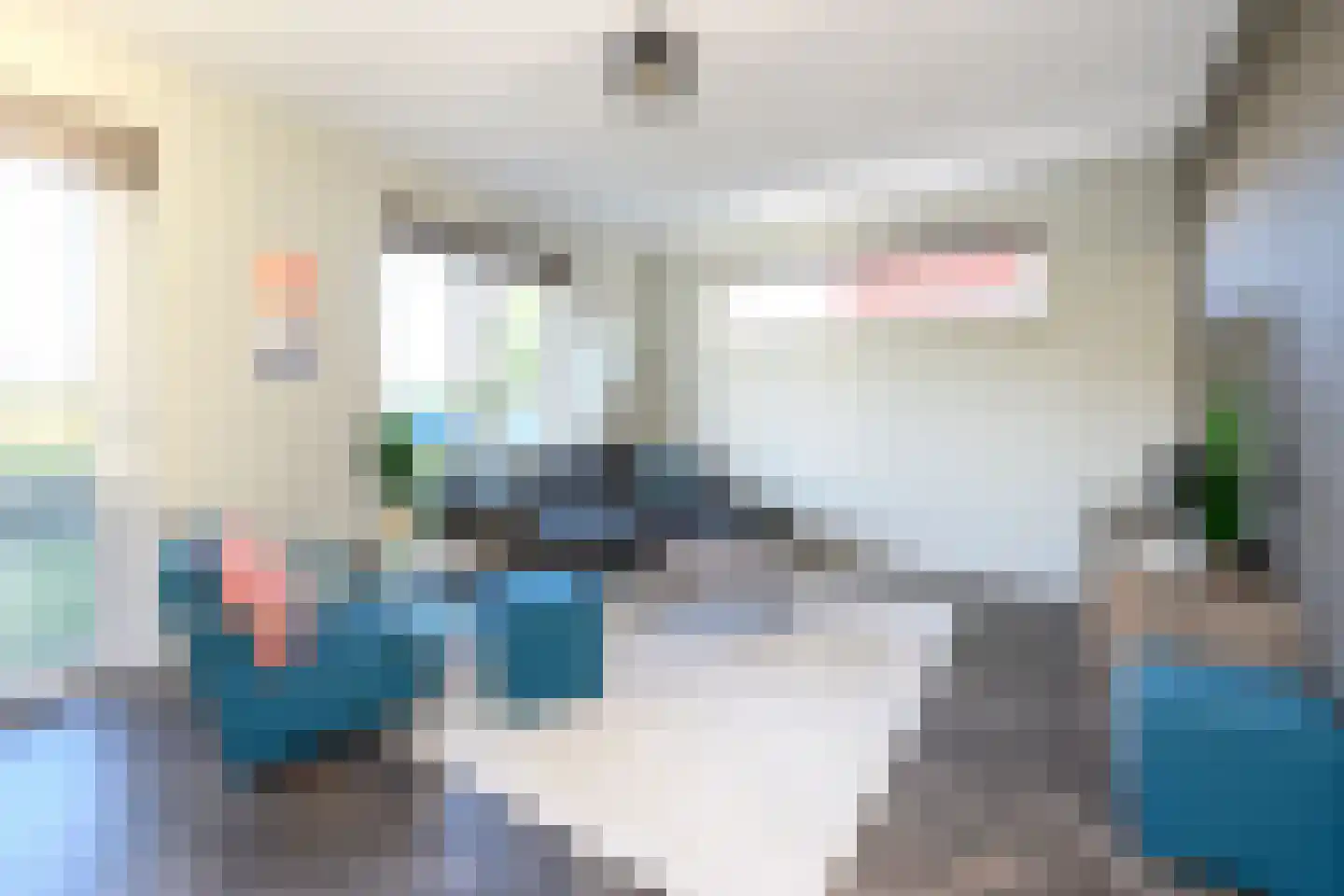 Alant 4 Brummen thumbnail 4