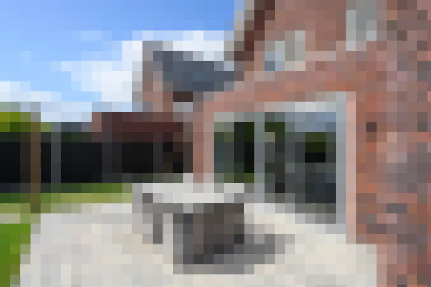 Alant 4 Brummen thumbnail 42