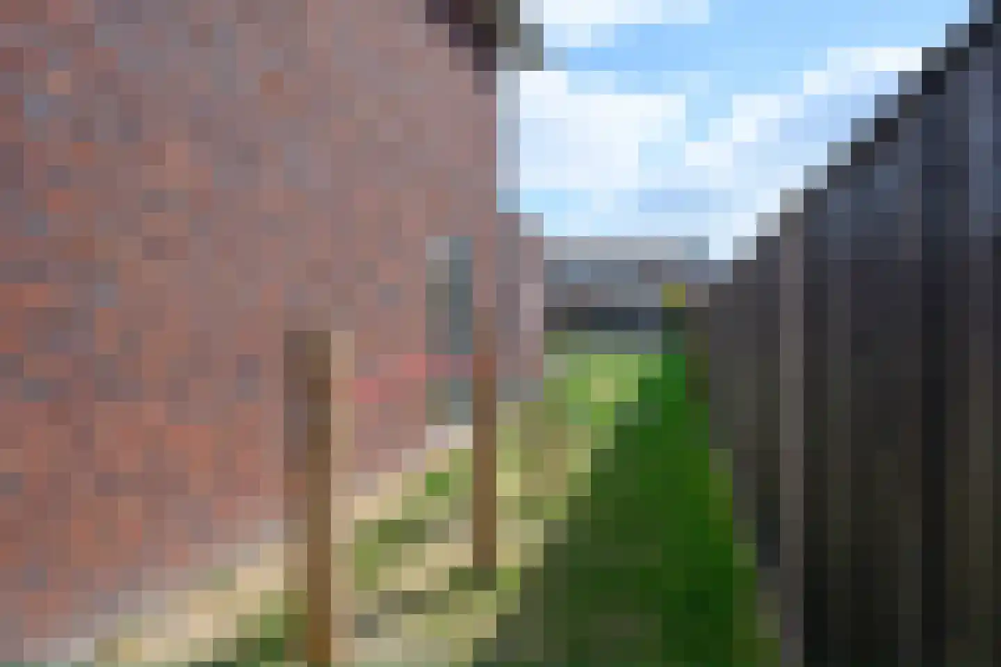 Alant 4 Brummen thumbnail 44