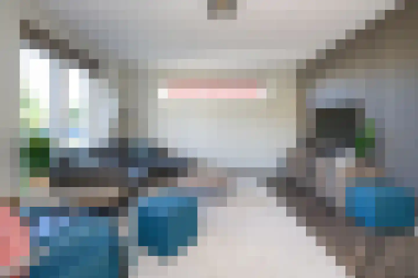 Alant 4 Brummen thumbnail 5