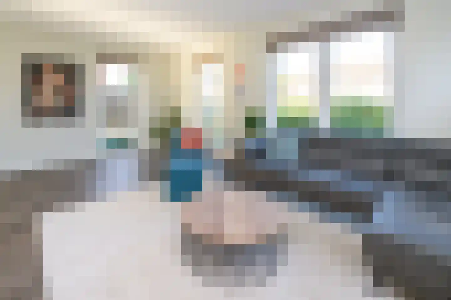 Alant 4 Brummen thumbnail 6