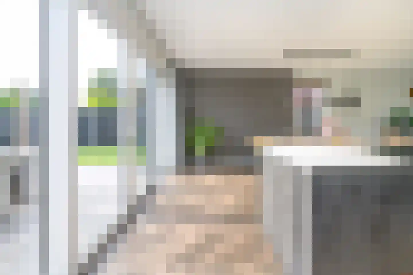 Alant 4 Brummen thumbnail 9