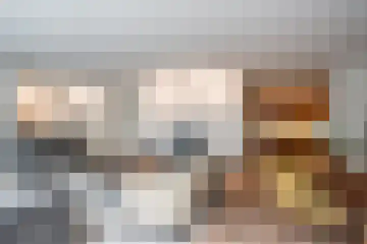 Alard du Hamelplaats 124 Eindhoven thumbnail 15