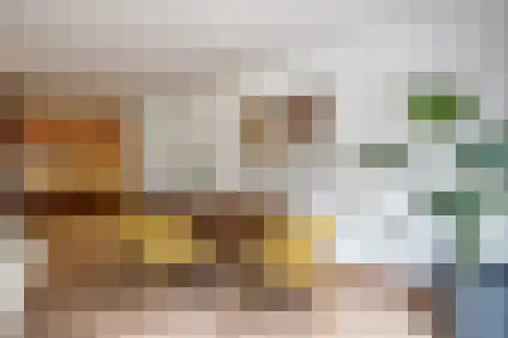 Alard du Hamelplaats 124 Eindhoven thumbnail 16