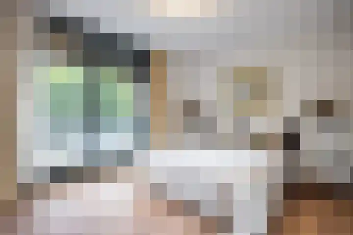 Alard du Hamelplaats 124 Eindhoven thumbnail 19