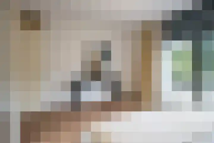 Alard du Hamelplaats 124 Eindhoven thumbnail 20