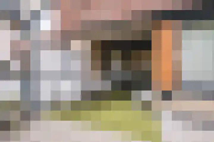 Alard du Hamelplaats 124 Eindhoven thumbnail 25