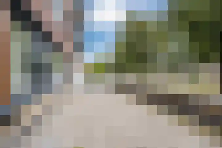 Alard du Hamelplaats 124 Eindhoven thumbnail 26