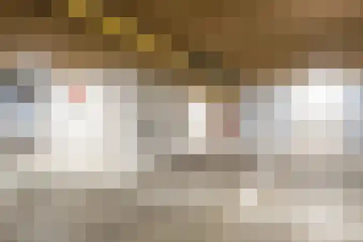 Alard du Hamelplaats 124 Eindhoven thumbnail 28