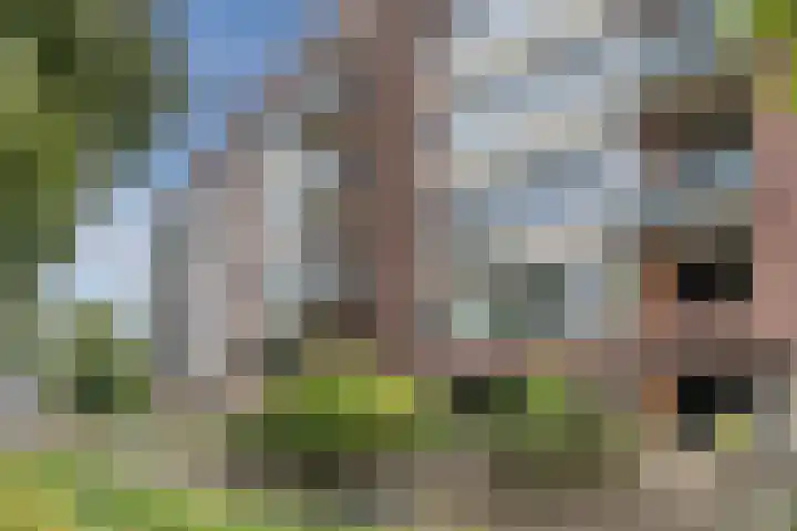 Alard du Hamelplaats 124 Eindhoven thumbnail 30