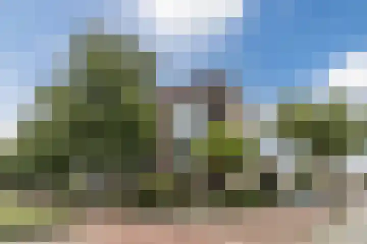 Alard du Hamelplaats 124 Eindhoven thumbnail 31