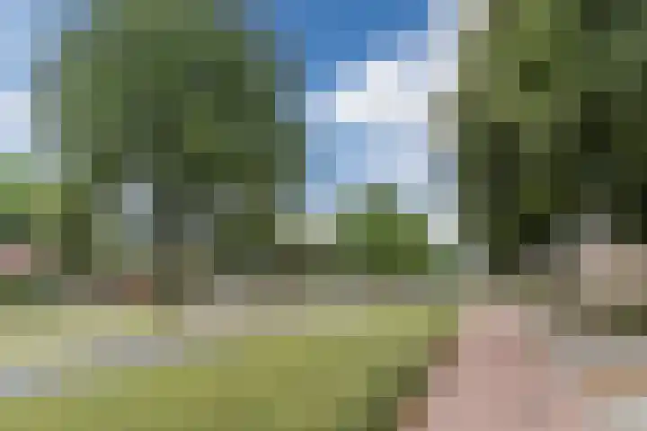 Alard du Hamelplaats 124 Eindhoven thumbnail 33