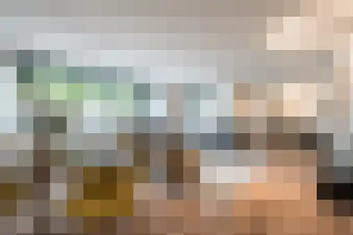 Alard du Hamelplaats 124 Eindhoven thumbnail 4