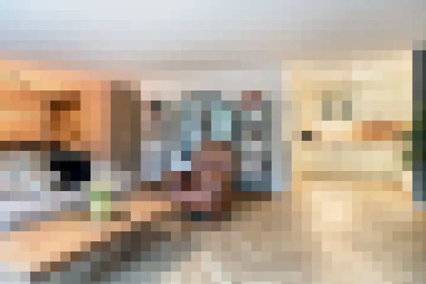Alard du Hamelplaats 126 Eindhoven thumbnail 10