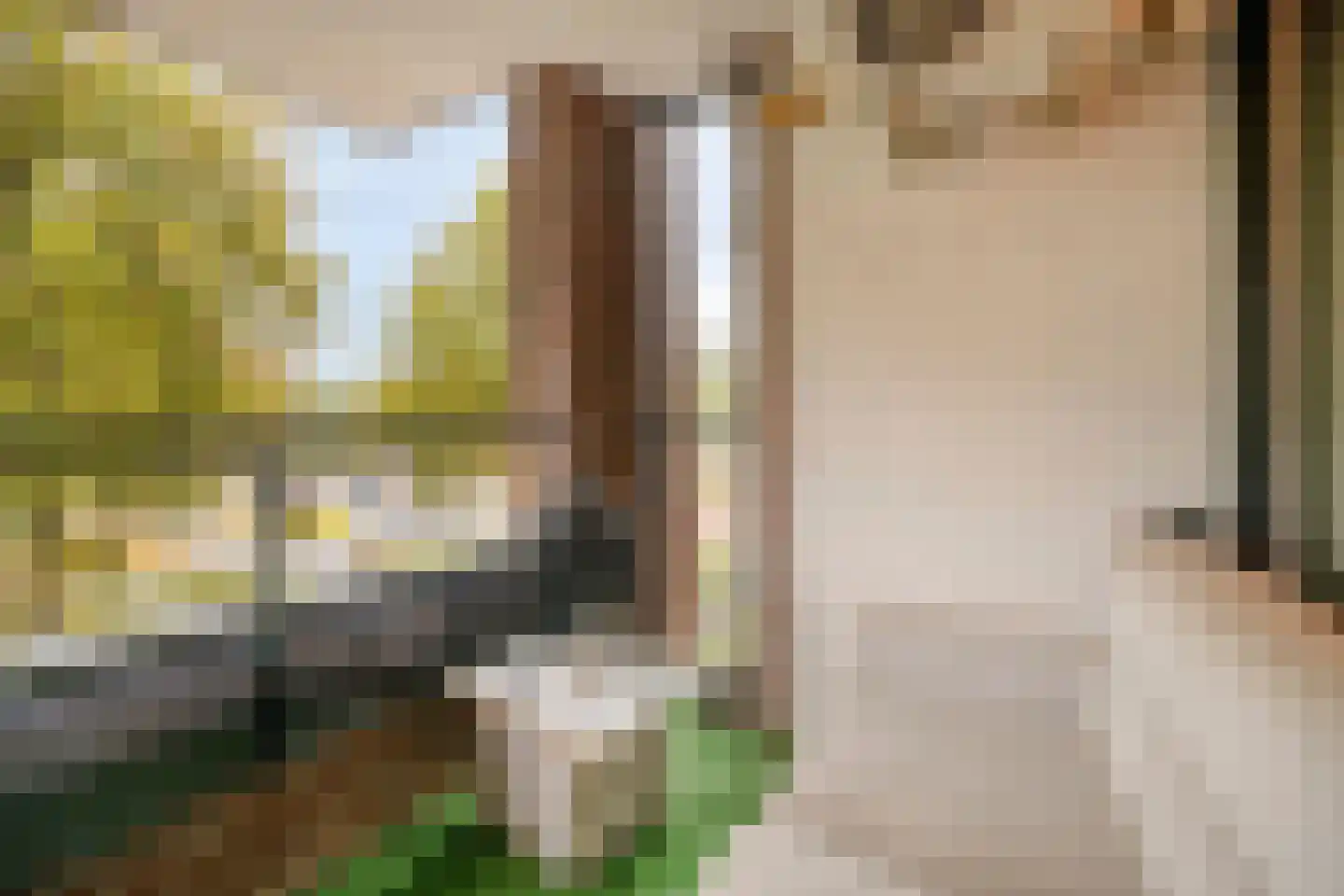 Alard du Hamelplaats 126 Eindhoven thumbnail 20