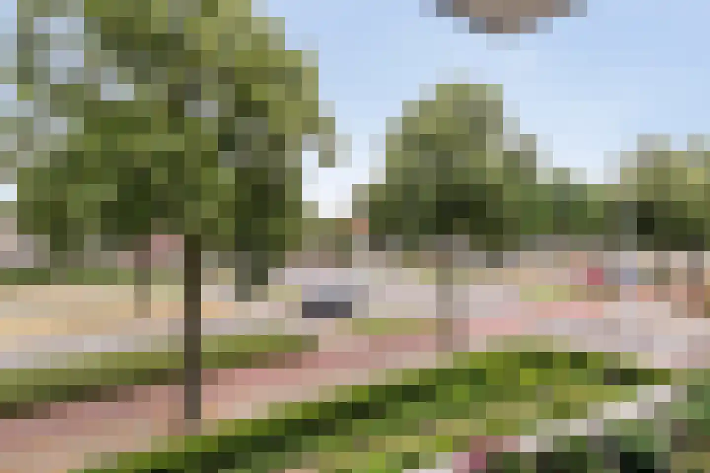 Alard du Hamelplaats 126 Eindhoven thumbnail 21