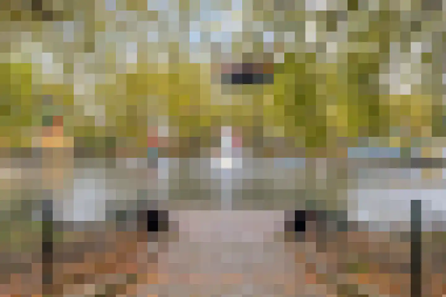 Alard du Hamelplaats 126 Eindhoven thumbnail 38