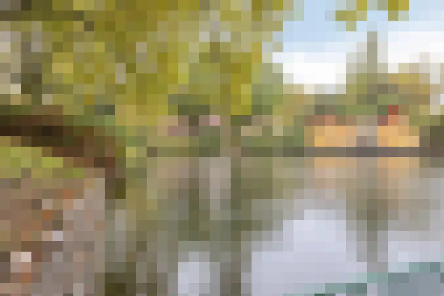 Alard du Hamelplaats 126 Eindhoven thumbnail 39