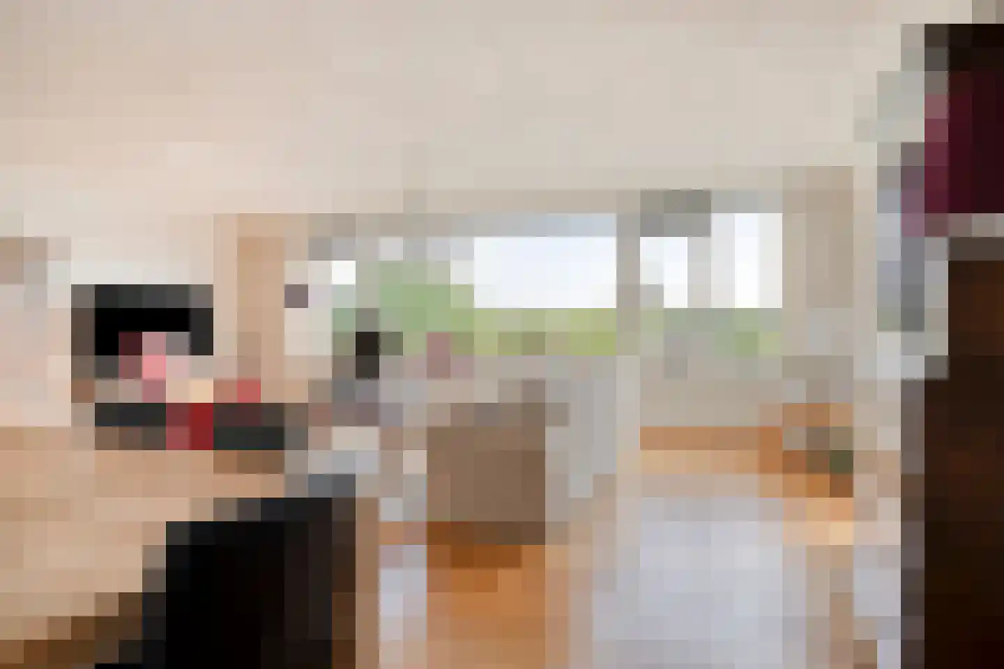 Alard du Hamelplaats 138 Eindhoven thumbnail 12