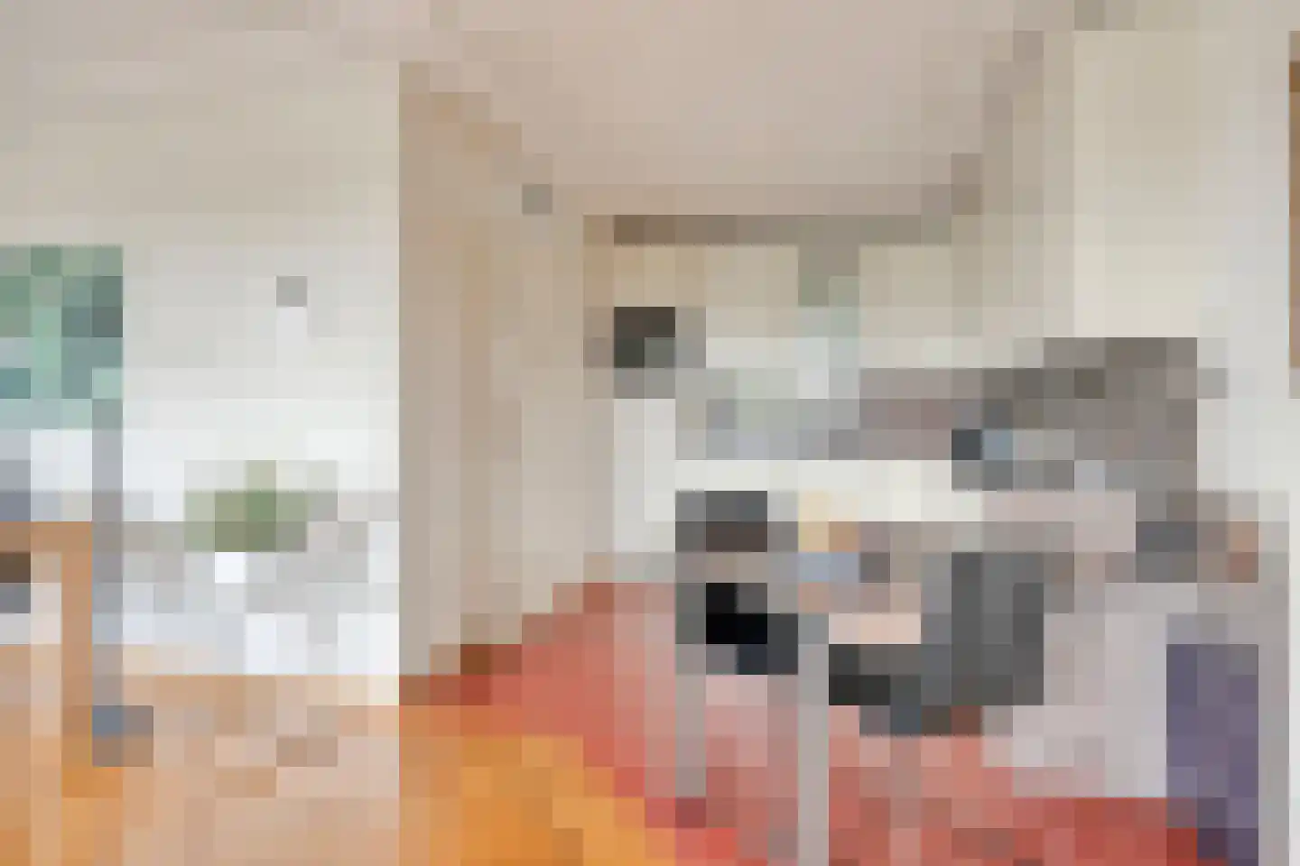 Alard du Hamelplaats 138 Eindhoven thumbnail 16