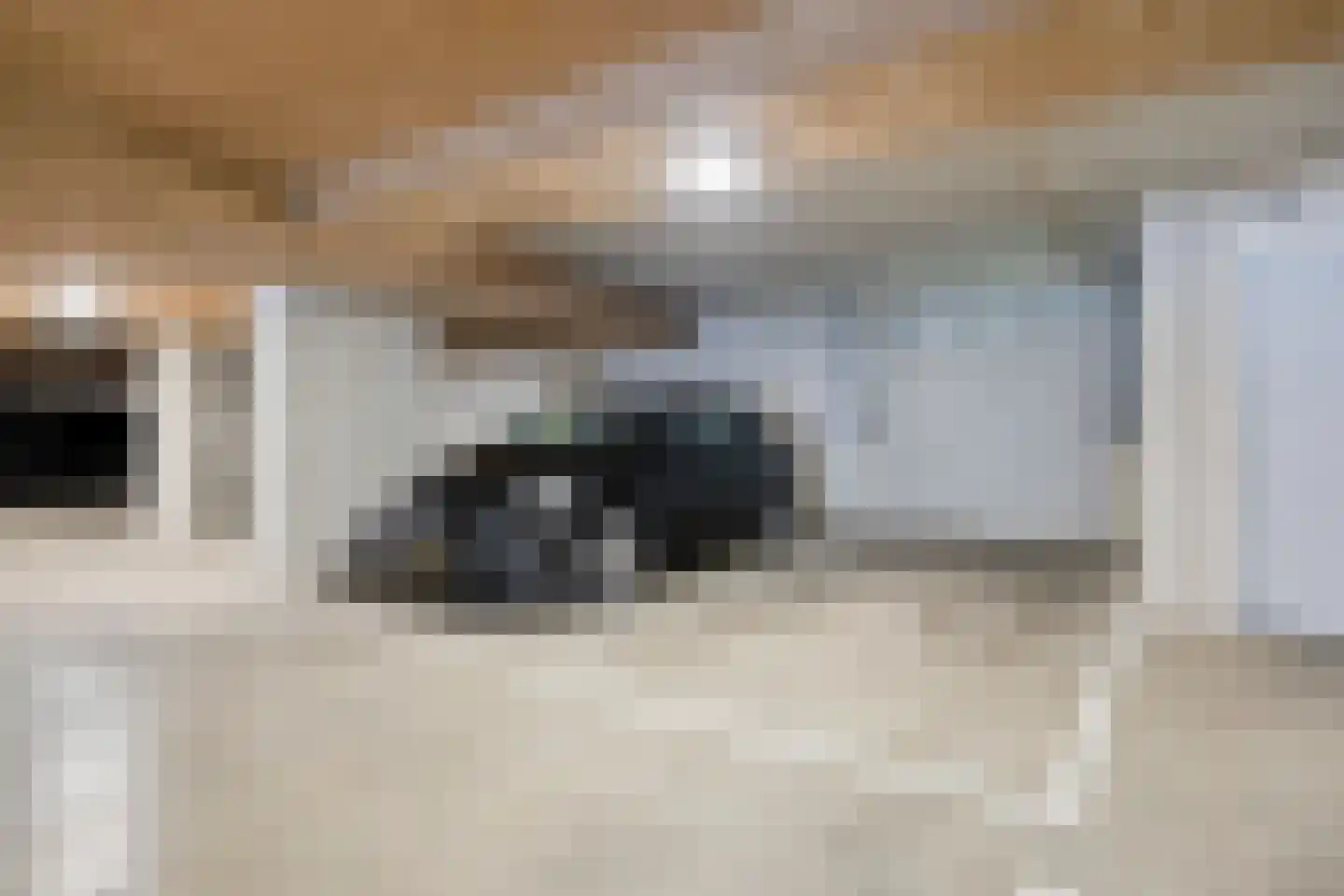 Alard du Hamelplaats 138 Eindhoven thumbnail 30