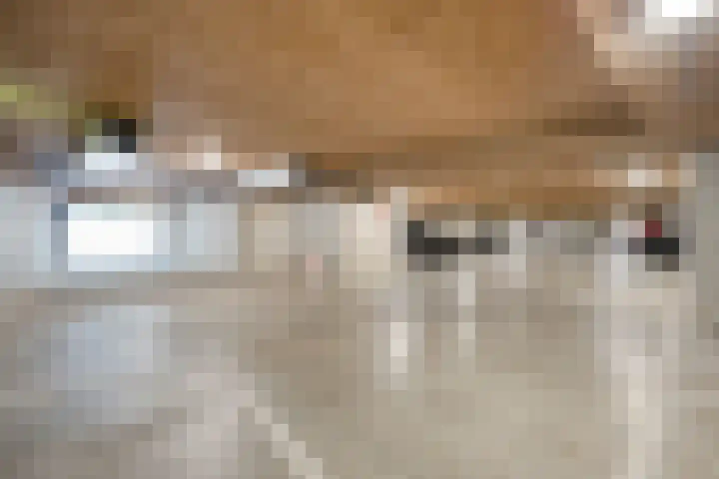 Alard du Hamelplaats 138 Eindhoven thumbnail 31