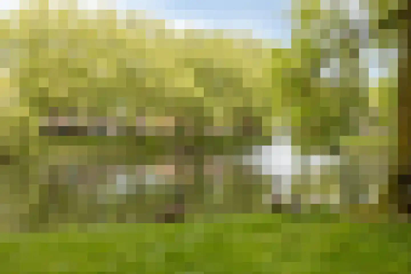 Alard du Hamelplaats 138 Eindhoven thumbnail 37