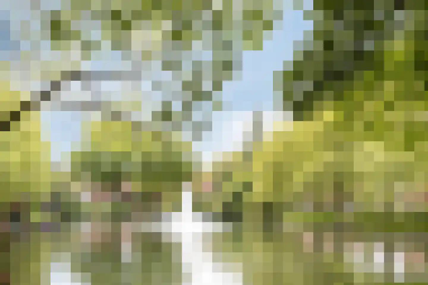 Alard du Hamelplaats 138 Eindhoven thumbnail 38