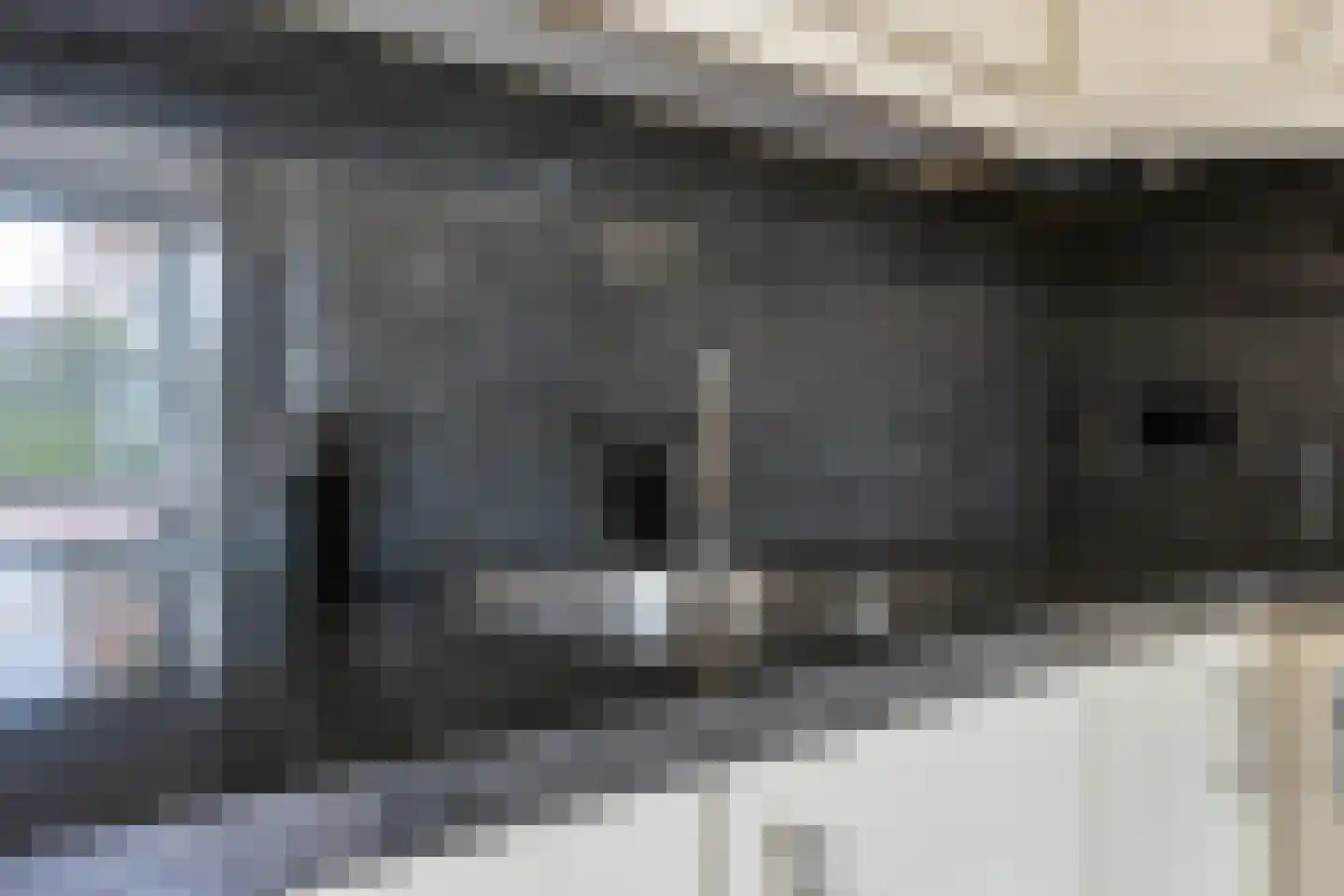 Alard du Hamelstraat 13 Eindhoven thumbnail 12
