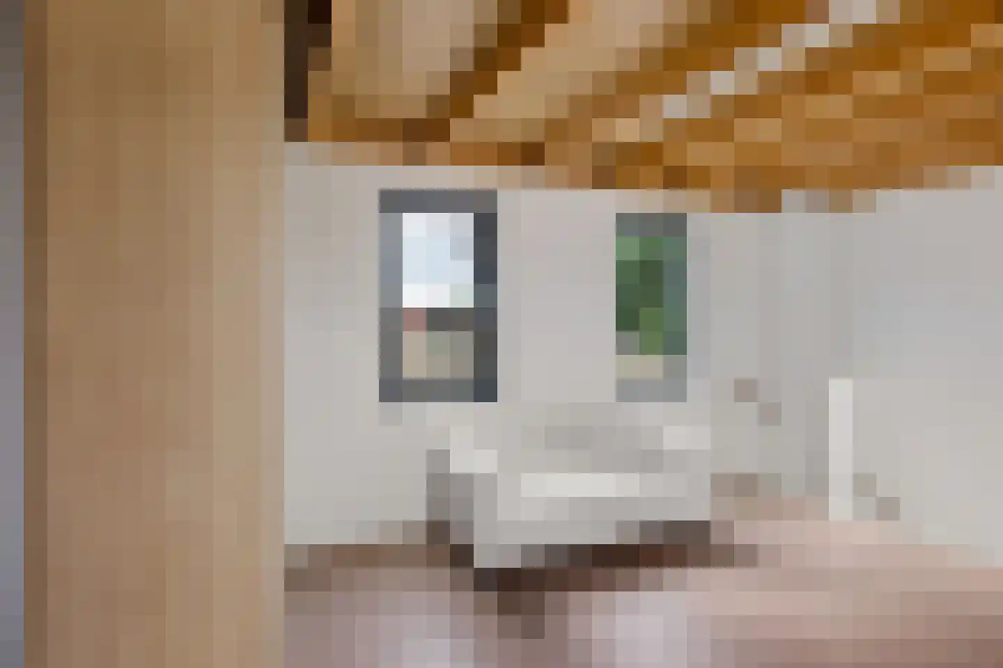Alard du Hamelstraat 13 Eindhoven thumbnail 24