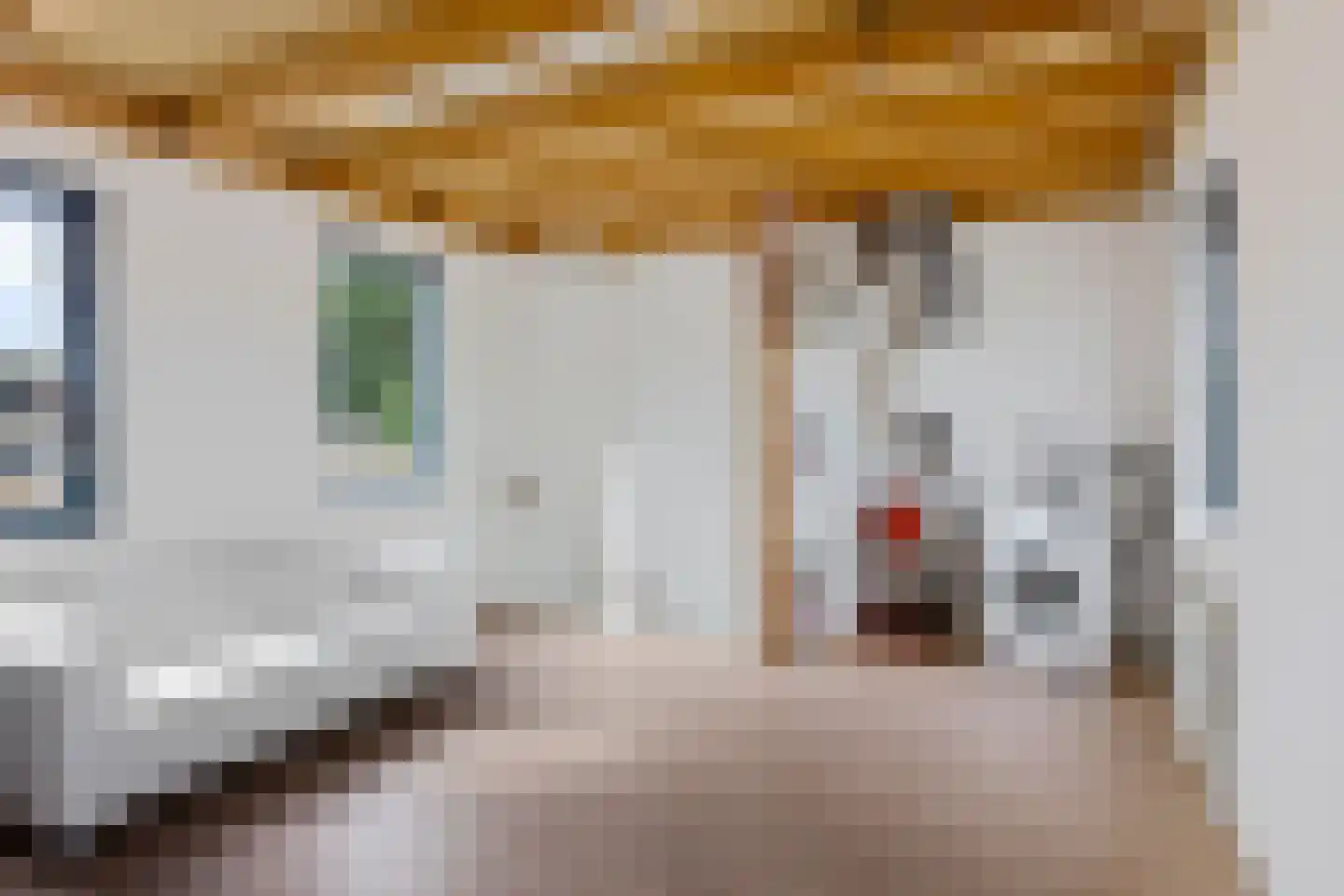 Alard du Hamelstraat 13 Eindhoven thumbnail 25