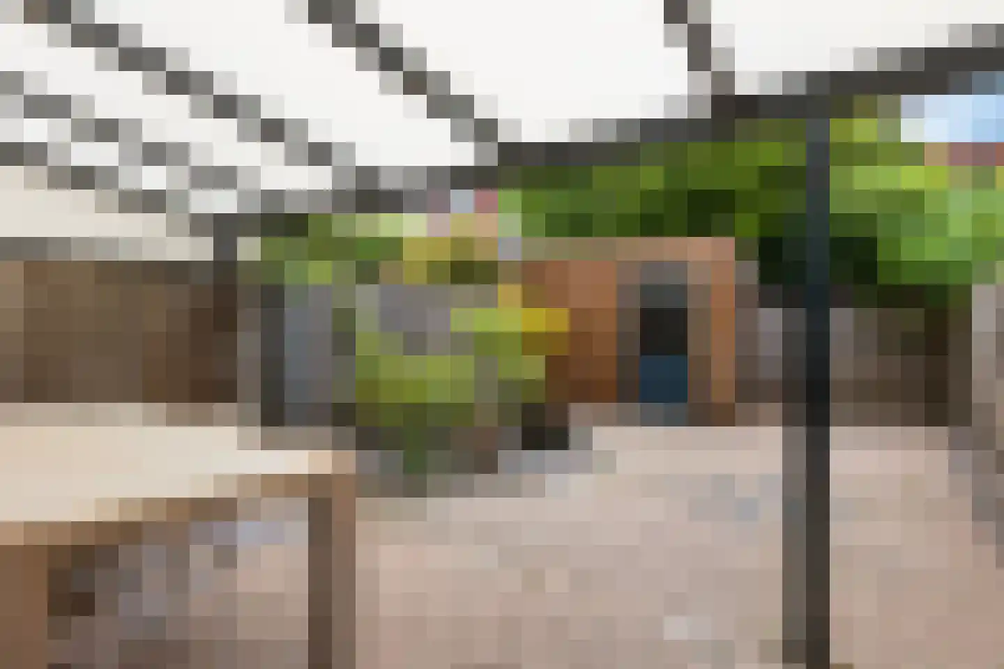 Alard du Hamelstraat 13 Eindhoven thumbnail 30