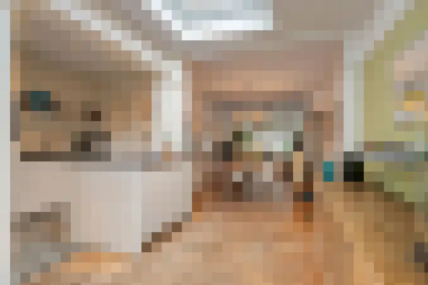 Alard du Hamelstraat 24 Eindhoven thumbnail 13
