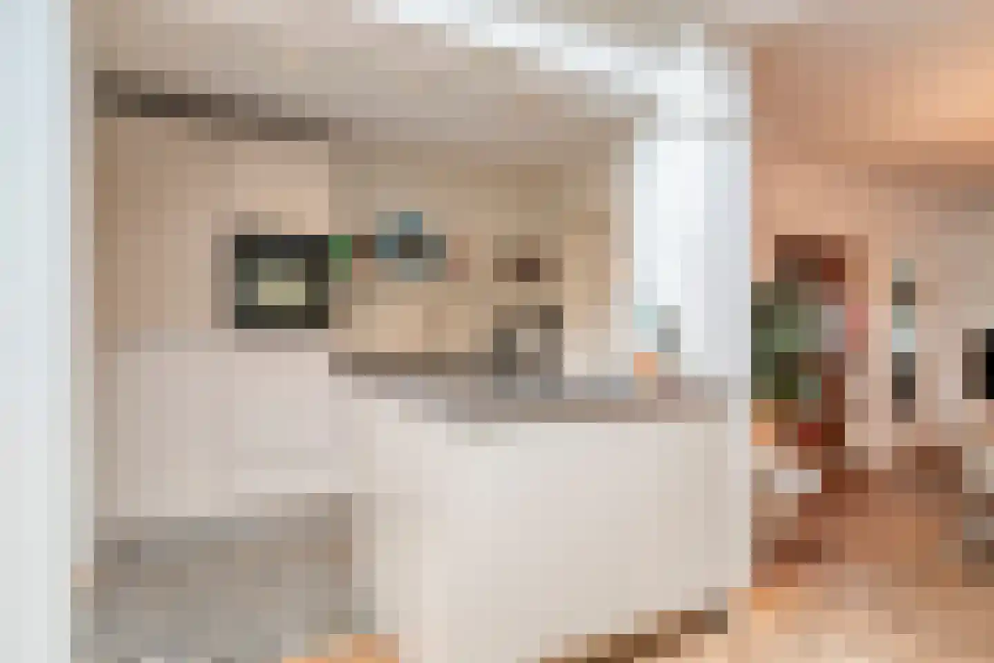 Alard du Hamelstraat 24 Eindhoven thumbnail 14