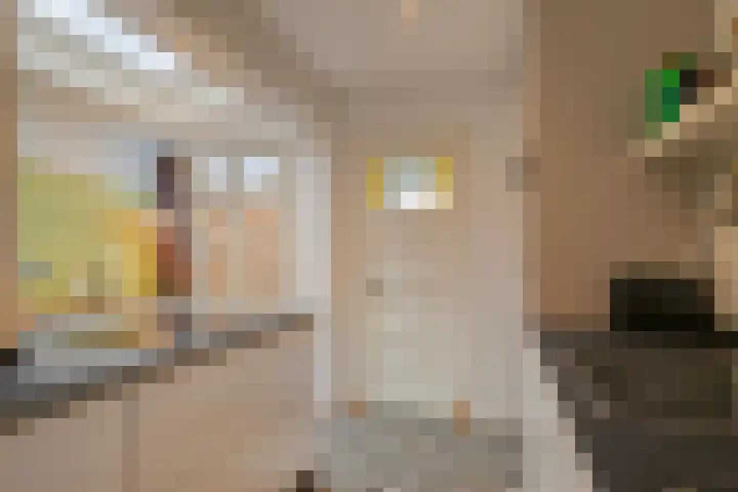 Alard du Hamelstraat 24 Eindhoven thumbnail 16