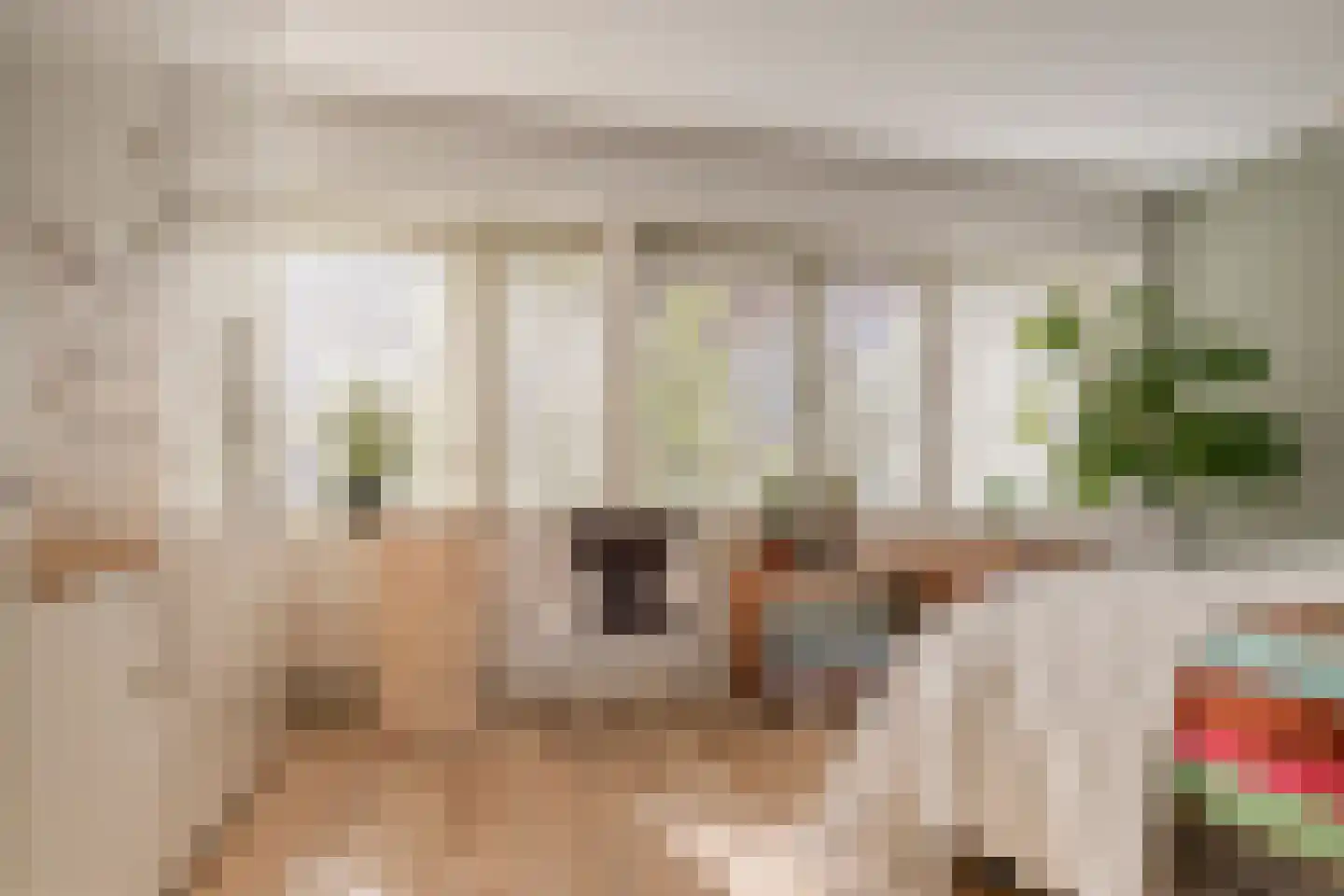 Alard du Hamelstraat 24 Eindhoven thumbnail 19