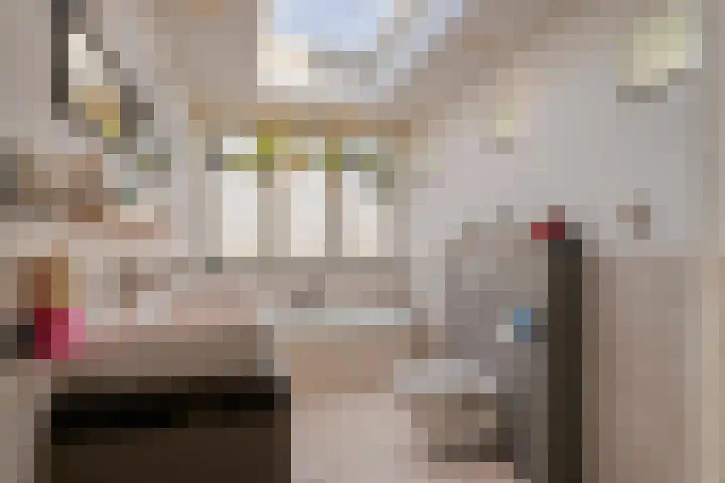 Alard du Hamelstraat 24 Eindhoven thumbnail 22
