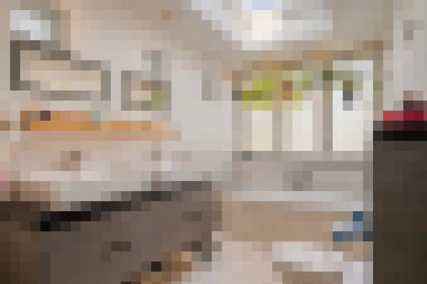 Alard du Hamelstraat 24 Eindhoven thumbnail 23