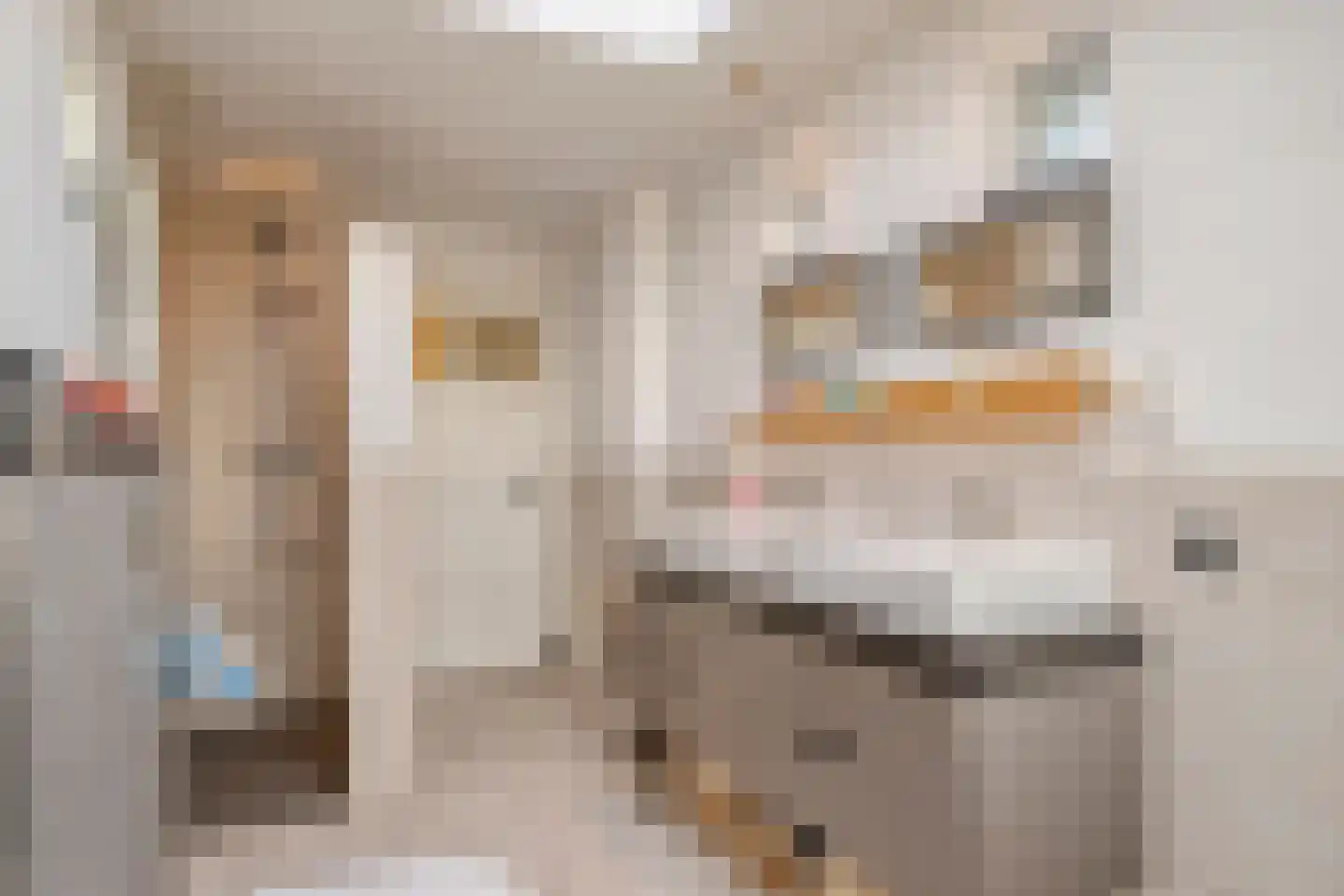 Alard du Hamelstraat 24 Eindhoven thumbnail 24