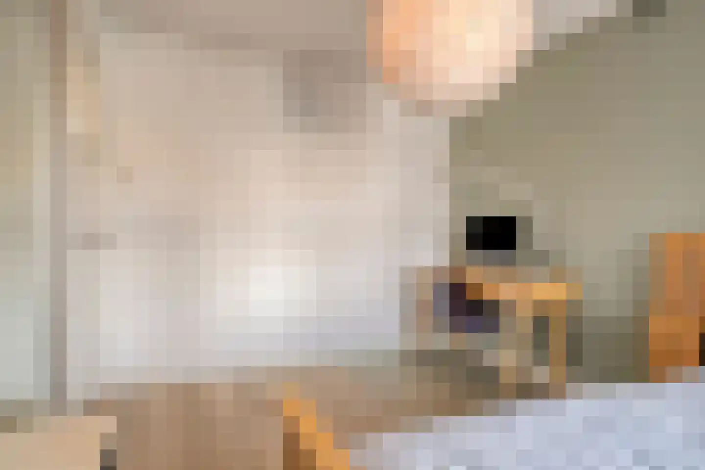 Alard du Hamelstraat 24 Eindhoven thumbnail 27